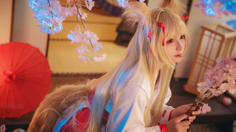 Fox hime zero