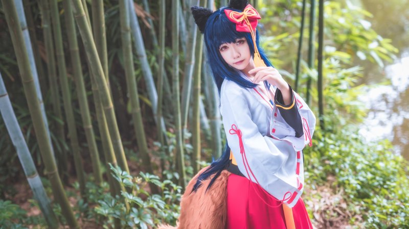 Cosplay fox hime