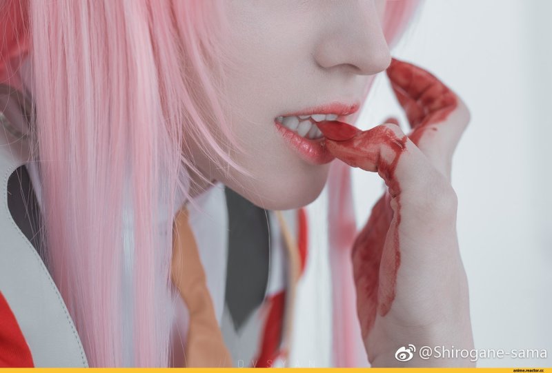 Shirogane sama косплей zero two