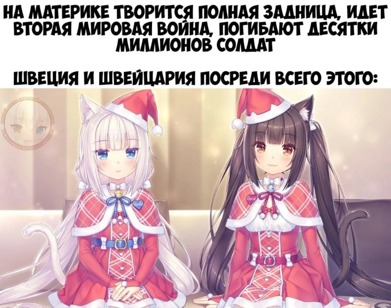 Чокола некопара