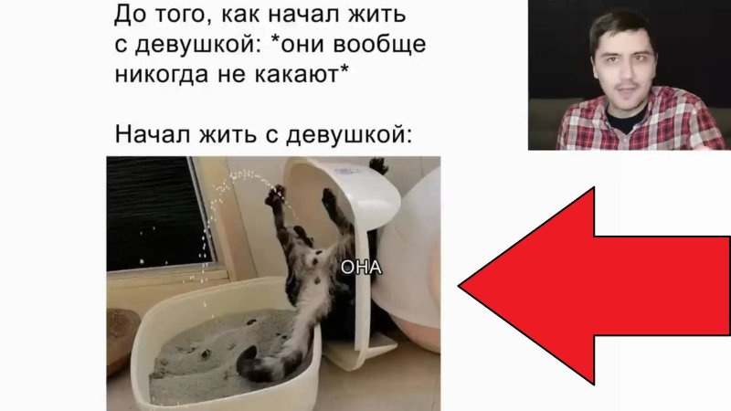 Прикол