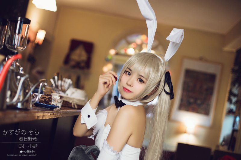 Kasugano sora bunny cosplay