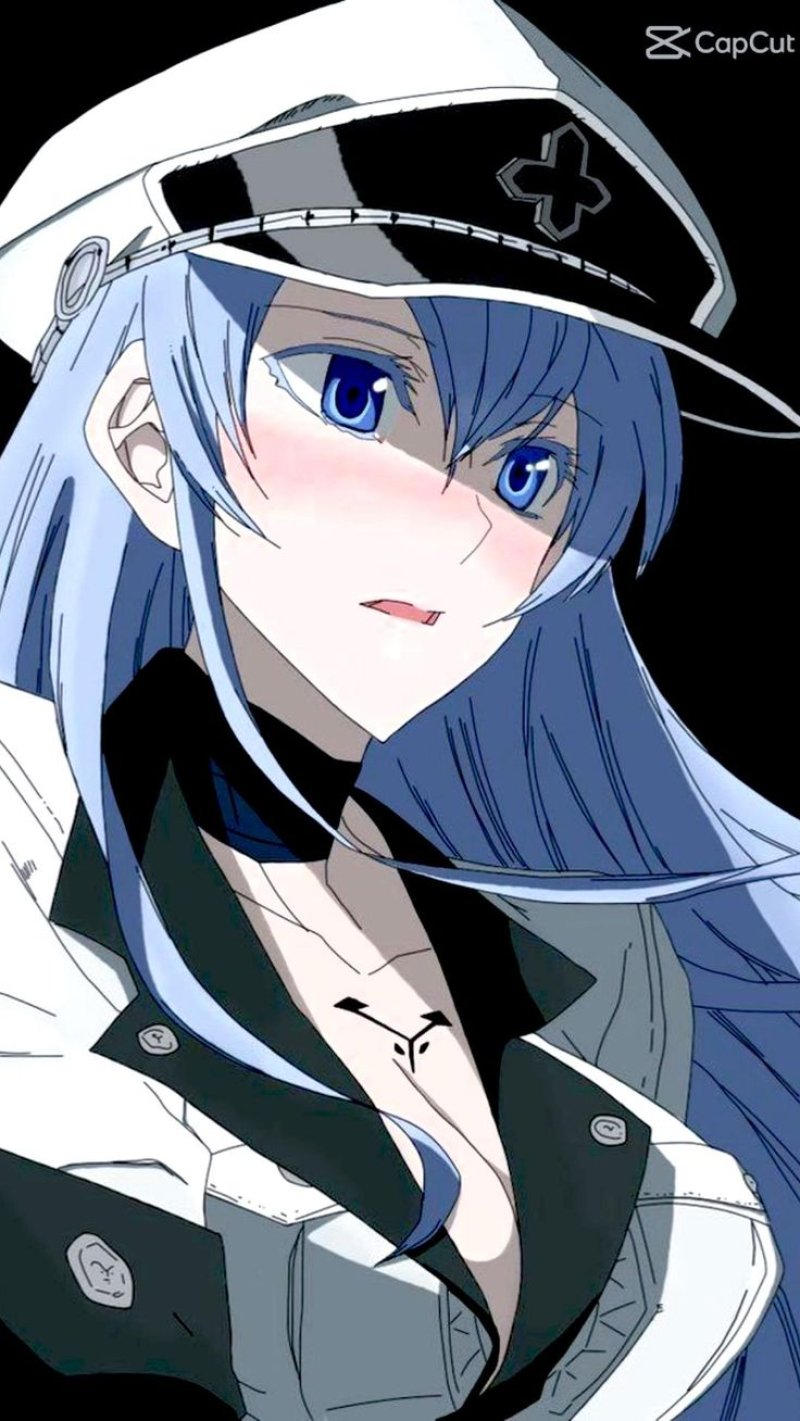 Esdeath akame ga kill