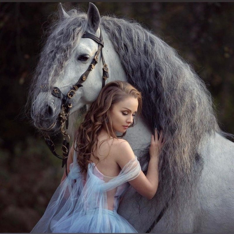 Ольга бажутова фотограф лошадей